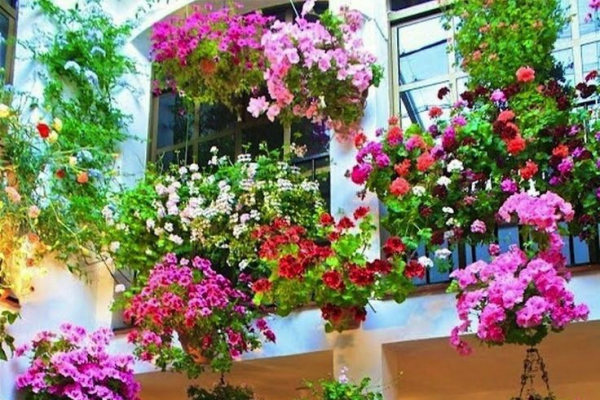 How to Build a Hanging Basket